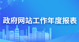 政府網(wǎng)站工作年度報(bào)表