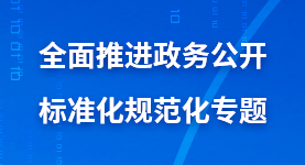 全面推進(jìn)政務(wù)公開標(biāo)準(zhǔn)化規(guī)范化專題